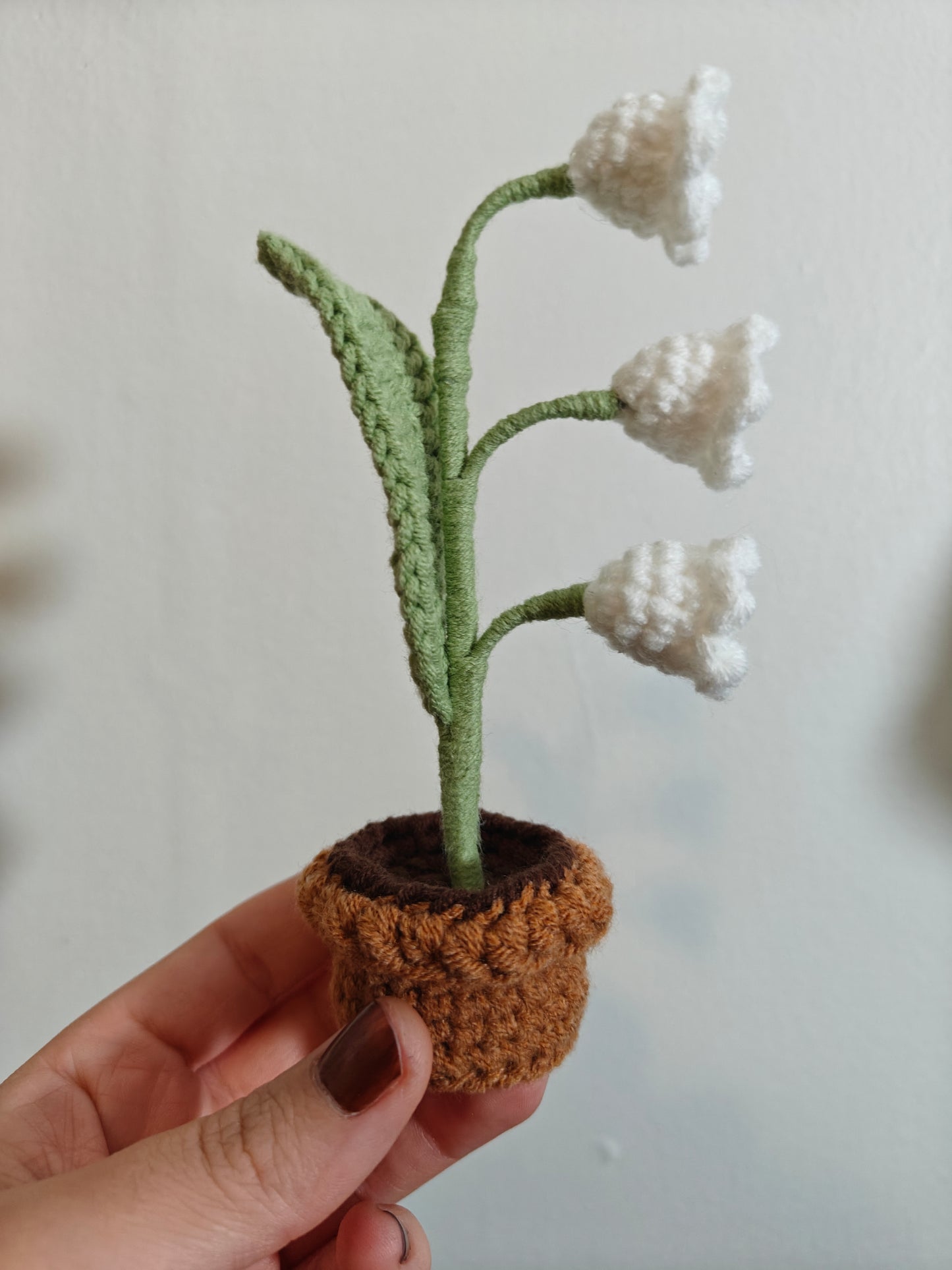 Fleur en pot