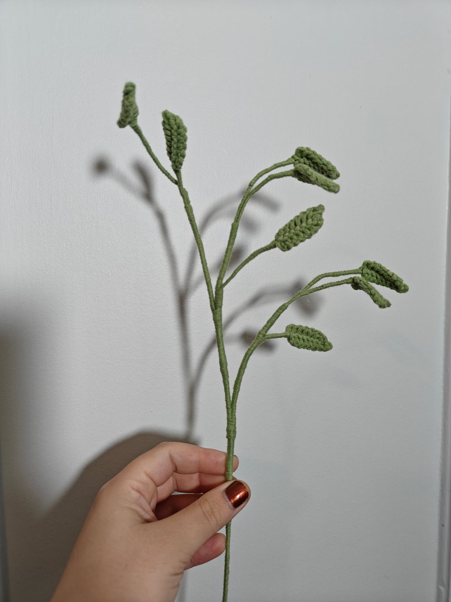 Sea oat grass